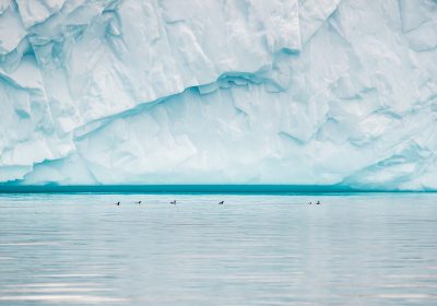 Чистейший арктический лед из Гренландии отправляют в бары Дубая