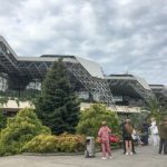 В аэропорту Сочи протекла крыша