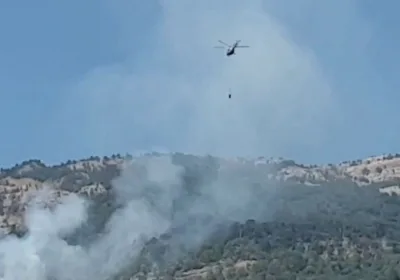 Лесные пожары в Крыму: МЧС борется с огнем в Ялтинском заповеднике