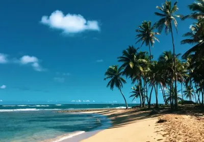 Возобновление авиасообщения между Россией и Доминиканой: возможности и перспективы