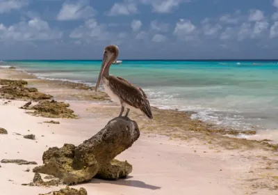 Кубинский Ольгин готов к встрече туристов после урагана