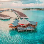 Лихорадка денге на Мальдивах: мифы и реальность