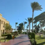 Отмена обязательных новогодних банкетов в египетских отелях: проблема и возможные решения