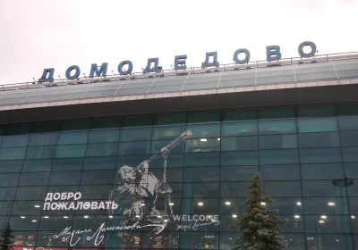 Проблемы с багажом: Air Arabia не доставила чемоданы в Домодедово