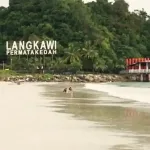 Запас противоядия от кубомедузы: меры безопасности на Лангкави