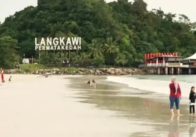 Запас противоядия от кубомедузы: меры безопасности на Лангкави