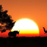 Пугающая Африка: что удерживает туристов от поездок на «черный континент»