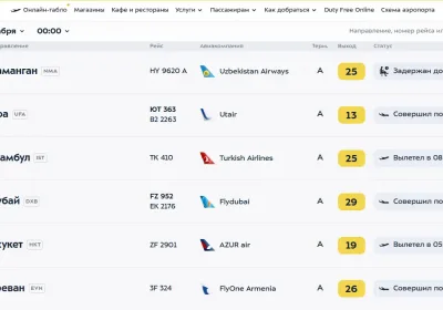 Туристы с Мальдив терпят 25-часовые задержки из-за проблем в аэропортах