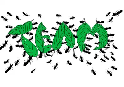 Туристы столкнулись с «живой тропой муравьев» в пятизвездочном отеле Египта