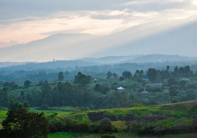 Уганда рассматривает отмену виз для российских туристов
