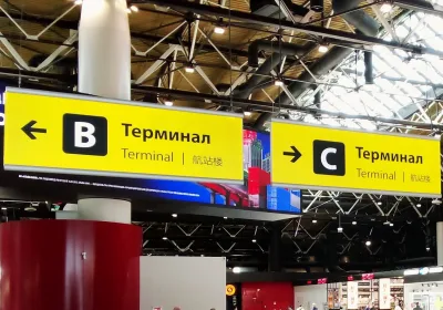 Проблемы с рейсами в Шереметьево: что нужно знать пассажирам