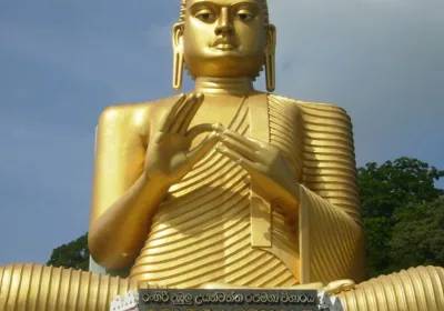 Red Wings отменяет рейсы на Шри-Ланку: что это значит для туристов?