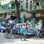 Роспотребнадзор предупреждает о вирусе Нипах: что нужно знать туристам