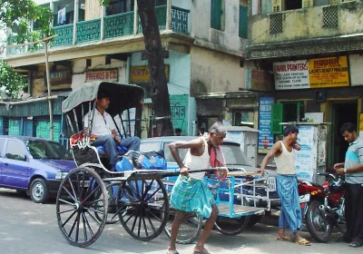 Роспотребнадзор предупреждает о вирусе Нипах: что нужно знать туристам