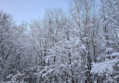 Снежный шторм над Москвой: что ожидать?