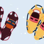 Судебное разбирательство немецких туристов в Финляндии: пересечение границы с Россией