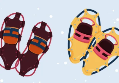 Судебное разбирательство немецких туристов в Финляндии: пересечение границы с Россией