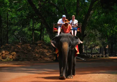 Запрет на «слоновий туризм»: где еще можно покататься на слонах?