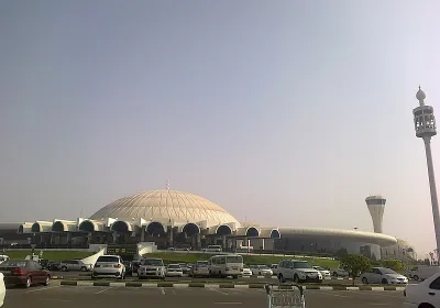 Etihad и Air Arabia приостановили рейсы из Эмиратов: что нужно знать