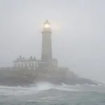 «Где же купить билеты на дальневосточные круизы?»