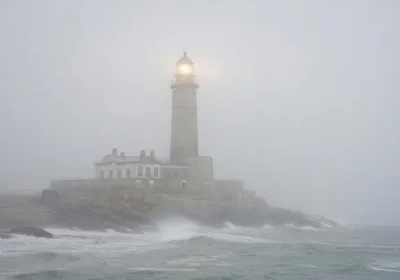 «Где же купить билеты на дальневосточные круизы?»