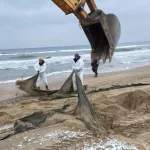 Проблема загрязненных пляжей Анапы: когда они будут готовы для туристов?