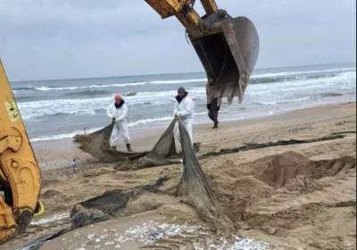 Проблема загрязненных пляжей Анапы: когда они будут готовы для туристов?