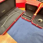 Шереметьево: Пассажирка из Дубая попалась с сумкой Cartier на 5 миллионов рублей