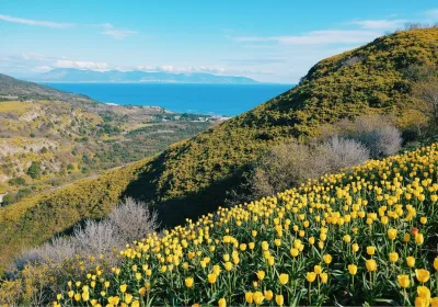 Весенние путешествия по России: 5 направлений для незабываемого отдыха