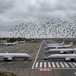 Аэропорт Астрахани под прицелом: иски на 16 миллионов рублей за столкновения с птицами