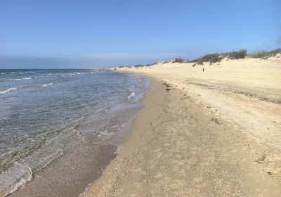 Бронирования Анапы: Ожидается Взрывной Рост