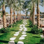 Доступные перелеты в Хургаду: Сочи против Санкт-Петербурга