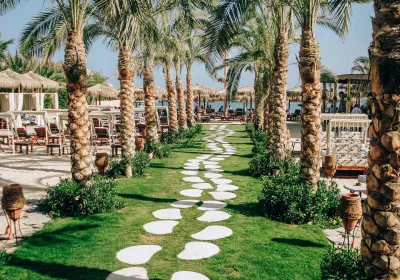 Доступные перелеты в Хургаду: Сочи против Санкт-Петербурга