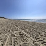 Качество нового песка в Анапе: тревоги туристов и факты