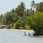 Мазутные пятна на пляжах Шри-Ланки: причины и последствия