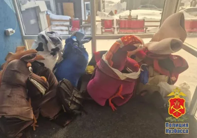 Необычные аниматоры в Шерегеше: как лошадь и зебра столкнулись с законом