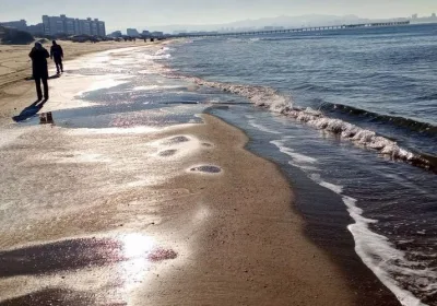 Обновление пляжей Анапы: мэр обещает заменить загрязненный песок за три месяца