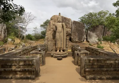 «Проблемы с вылетом: flydubai откладывает рейс со Шри-Ланки на месяц»