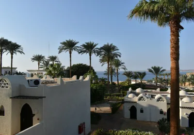 Соревнование авиакомпаний: как найти самые дешевые билеты в Египет