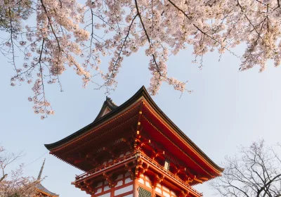 Удобные маршруты для путешествия в Японию: советы туристов