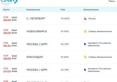 Воздушные ограничения в Сочи: вечерний «ковер» и его последствия