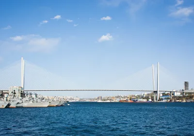 Приостановка рейсов парома из Владивостока в Южную Корею: причины и последствия