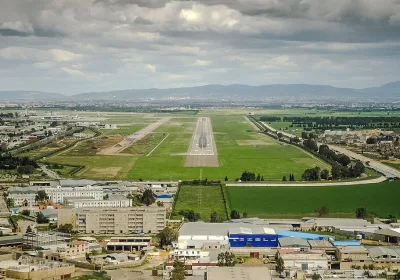 Рейс из Алжира в Москву: проблемы с авиаперевозками