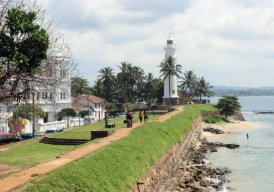 Шри-Ланка стремится увеличить количество рейсов из России и рассматривает новые возможности