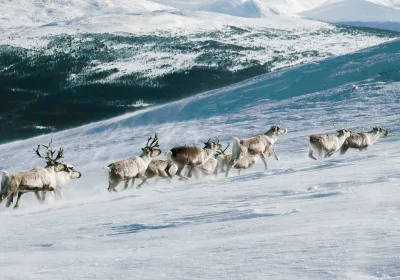 Туристический бум на Чукотке: новые рекорды и изменения в авиаперевозках