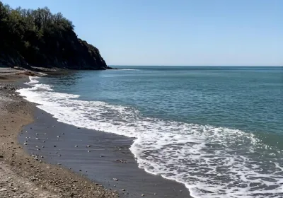 Туристы отменяют бронирования в Туапсе: влияние разлива нефти на курортный сезон