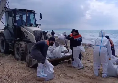 Волонтеры активизируются для очистки пляжей Анапы в майские праздники