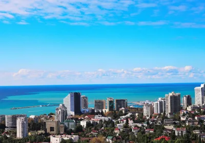 Задержки рейсов в аэропорту Сочи: причины и последствия