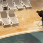 Закрытие бассейнов в отелях Турции после песчаного дождя