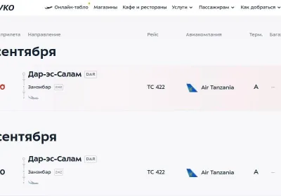 Задержка рейсов Air Tanzania: российские туристы остаются на Занзибаре до 9 сентября